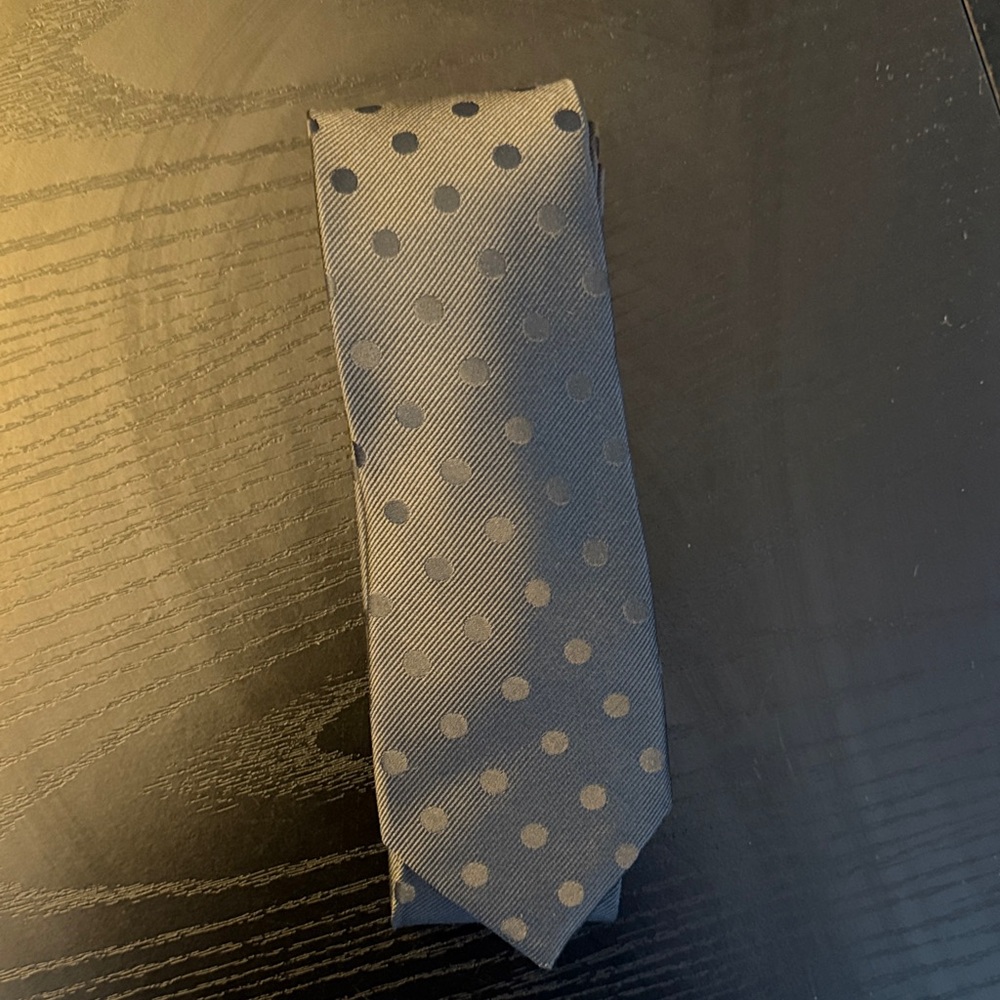 The Men's Store Classic Gray Polka Dot Tie